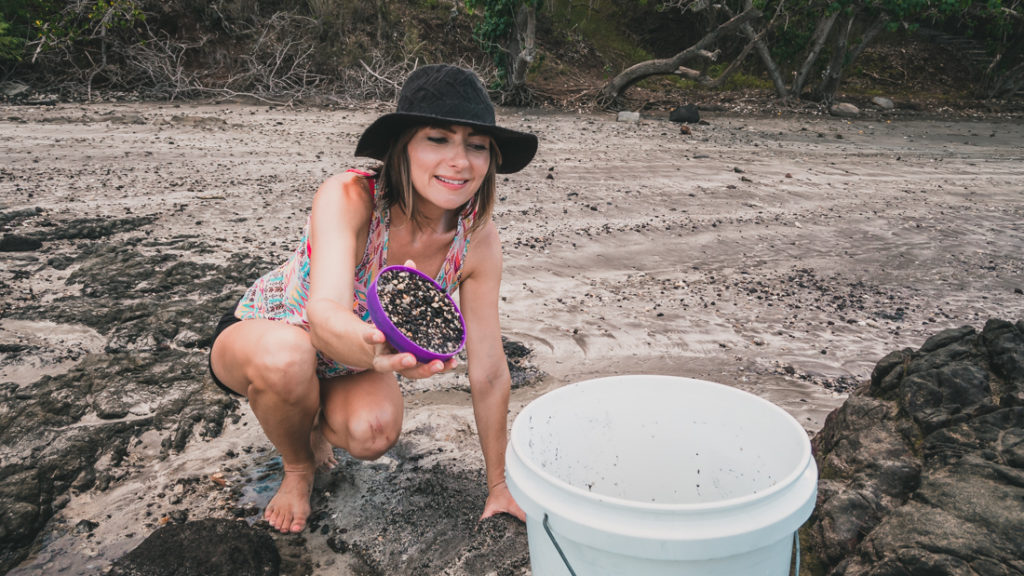 custom trackless cat litter