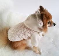 Suppliers of Autumn Apparel for Dogs to Keep Them Stylish and Warm