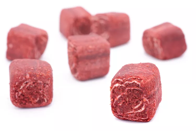 Unique and Stylish Clothing Options for Your Custom-Made Male Dog Fashion Needs