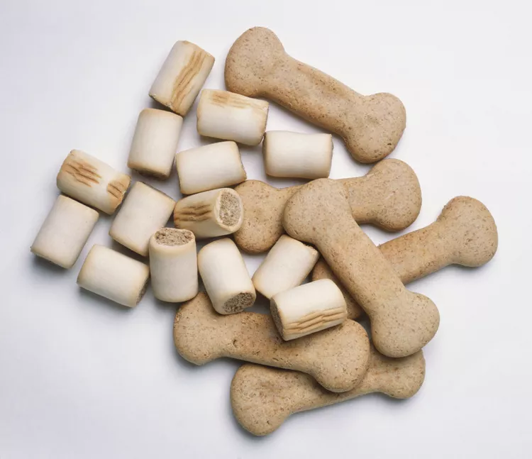 china dog clothes large