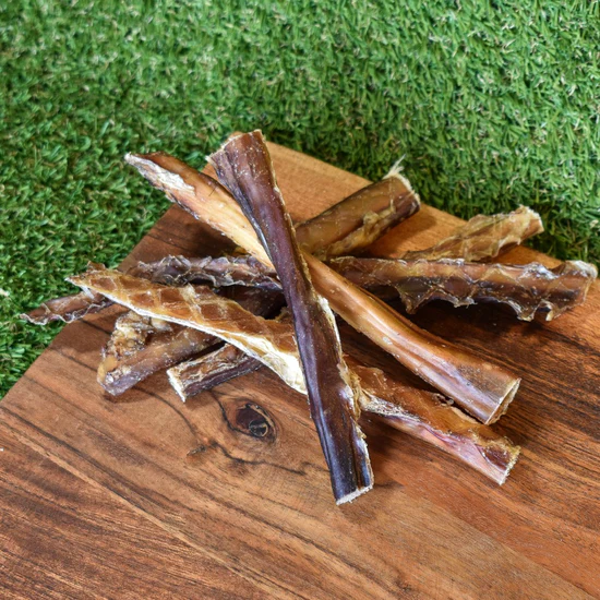 Custom Black Dog Apparel for Unique Style and Quality Fashion Choices