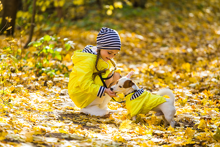 Trendy Apparel for Your Beloved Canine Companion