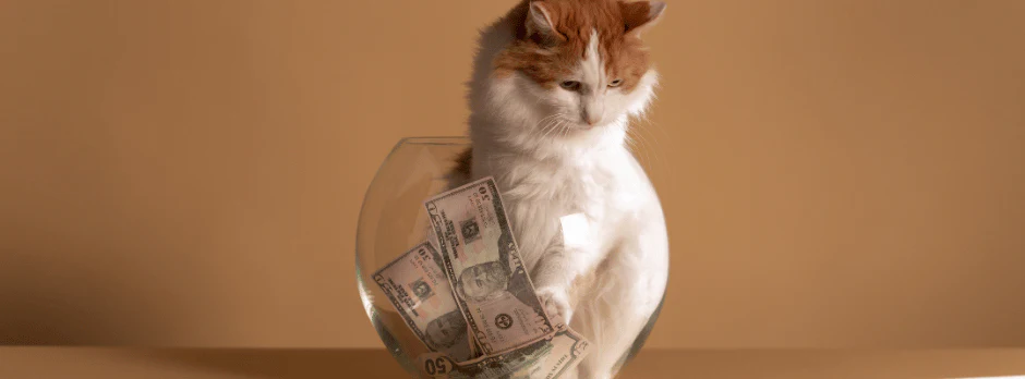 Low Mess Tracking Cat Litter Manufacturing Solutions for Pet Owners