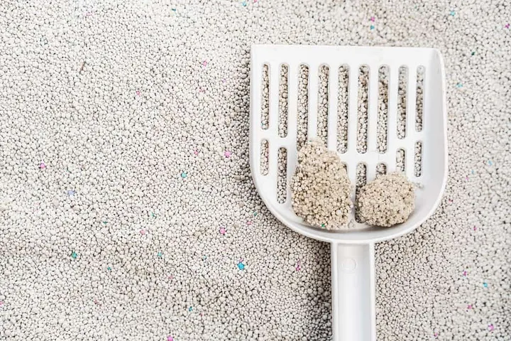 Effective Charcoal Filters for Enhanced Cat Litter Experience and Odor Control