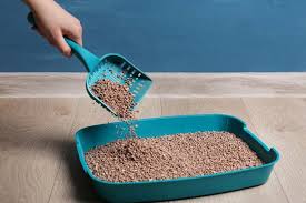 Natural and Eco-Friendly Cat Litter Manufacturing Facilities Analysis and Insights