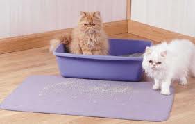 elf pet clothes factory