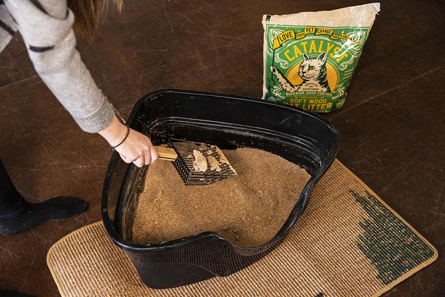 Vêtements pour Chiens - Fabricant de Mode Canine