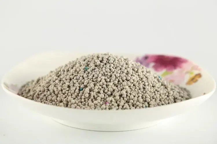 Nhà cung cấp quần áo cho chó