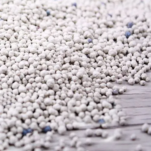 custom xxxl dog clothes