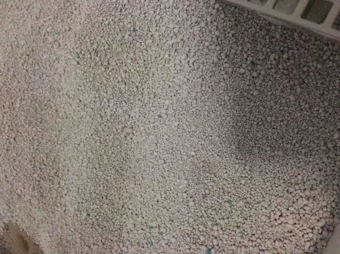 Cozy and Stylish Dog Apparel for Every Season and Adventure