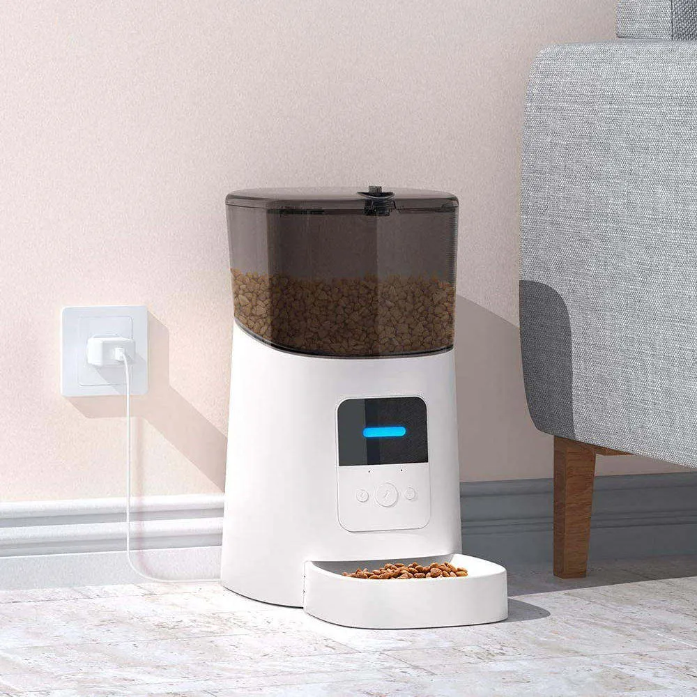 Choosing the Right Cat Litter Supplier for Your Feline Needs