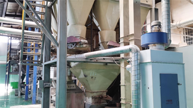 Top Lightweight Cat Litters for Custom Needs and Easy Cleanup