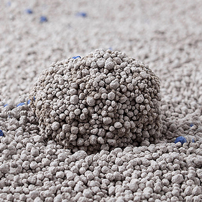 Find the Perfect Fashionable Outfits for Your Adorable Small Dog Today