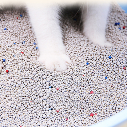 custom crochet dog clothes custom crochet dog clothes