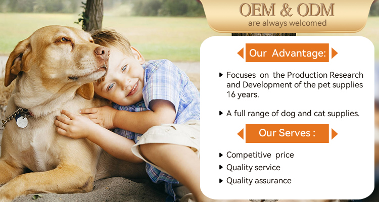 Affordable Dog Apparel Wholesale Suppliers for Every Pup's Style and Comfort