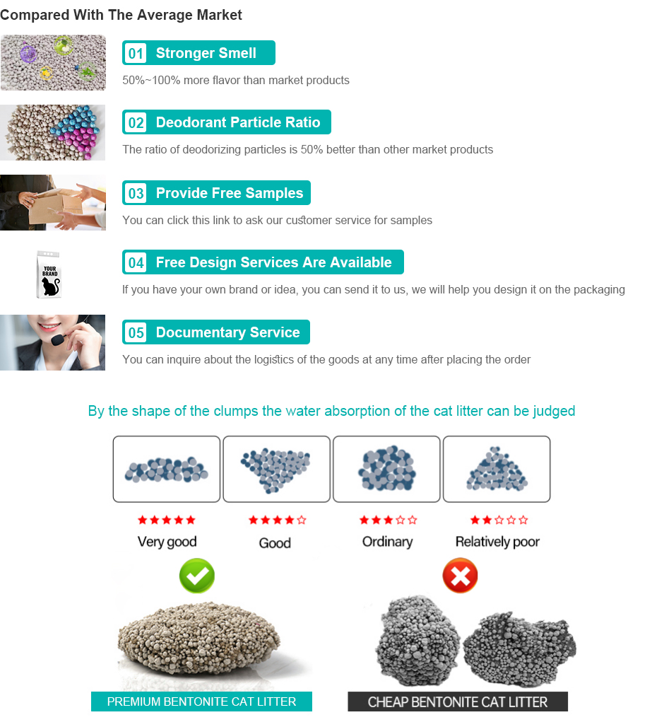 Suppliers of Stylish Clothes for Designer Dogs in the Fashion Industry