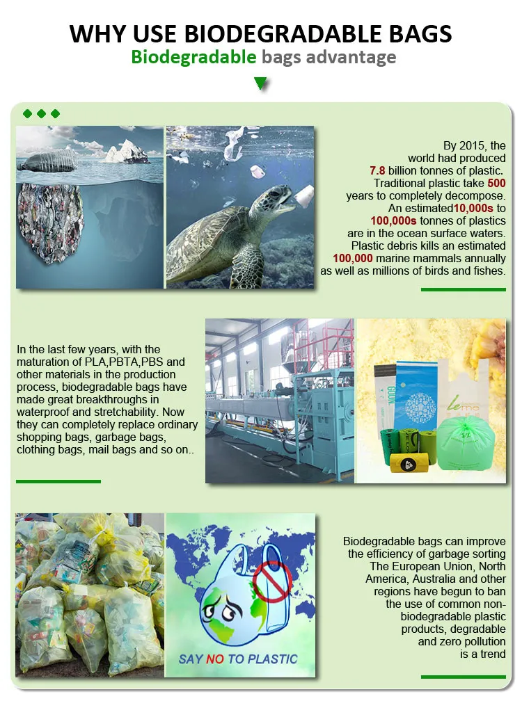 Small Dog Clothing Supplier for Stylish and Comfortable Outfits