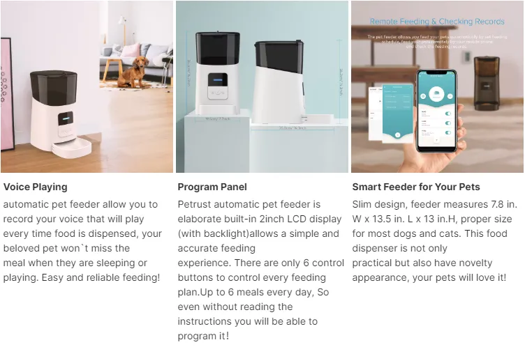 Top Producers of Tofu Cat Litter for Eco-Friendly Pet Owners