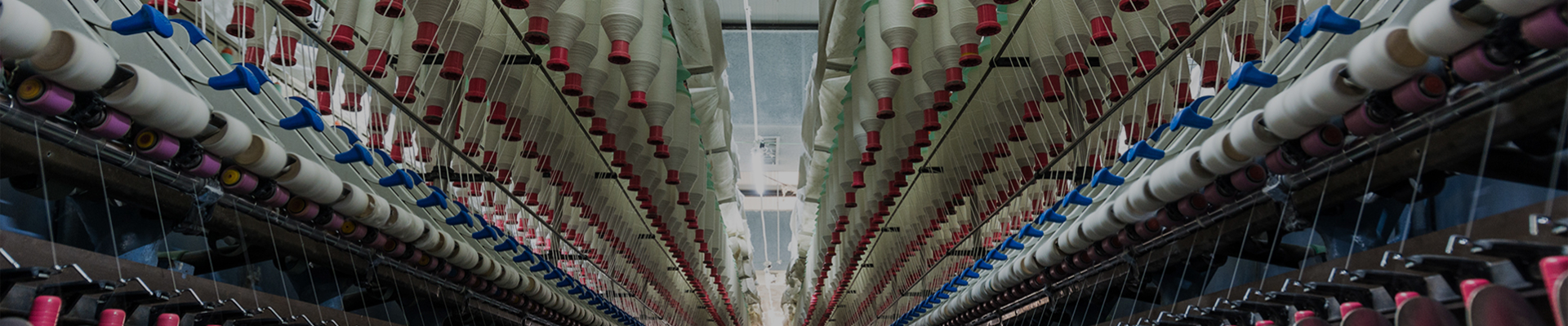 orange bedding orange bedding