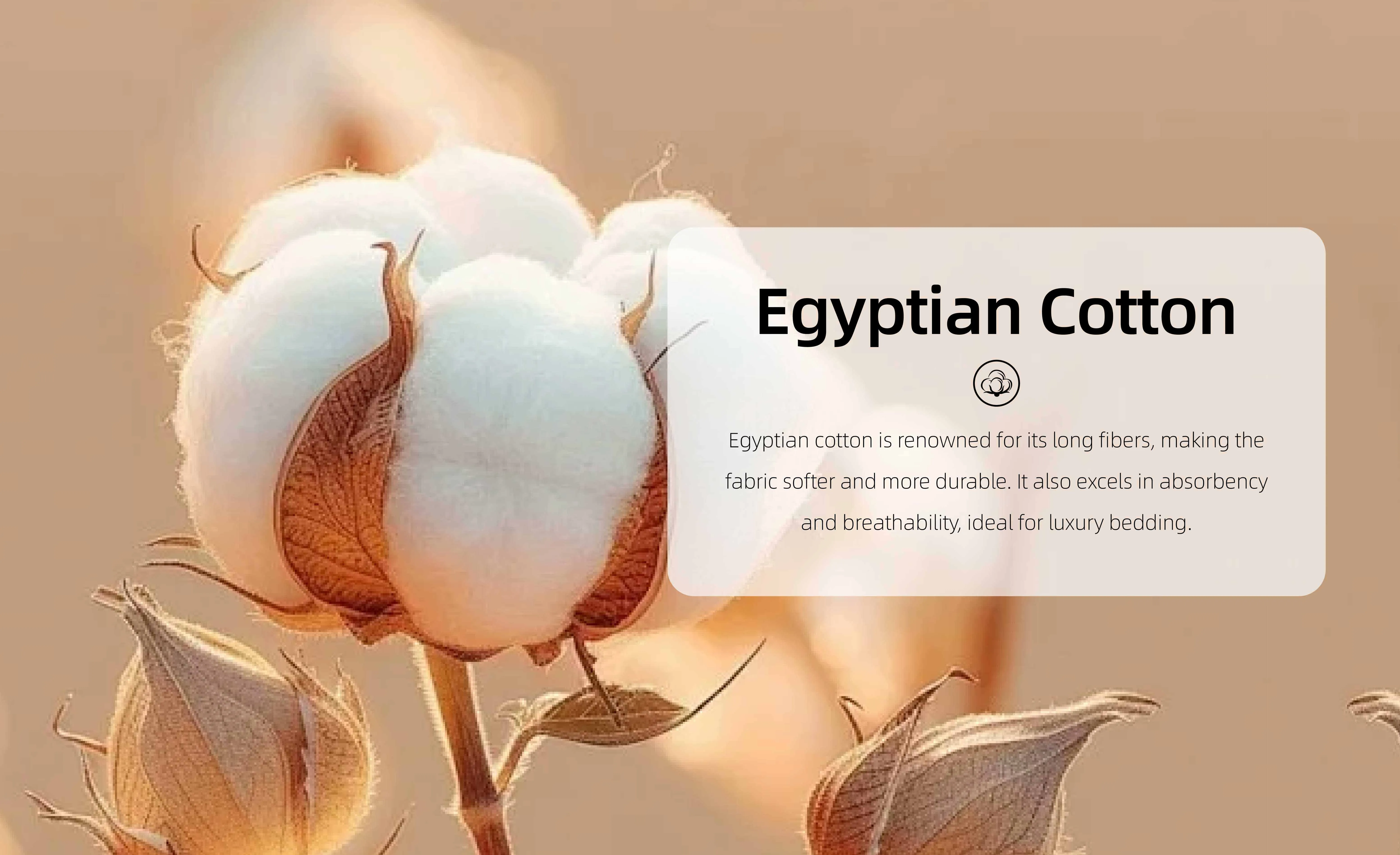 Hotel Management Tools for Efficient Operations and Guest Experience Enhancement