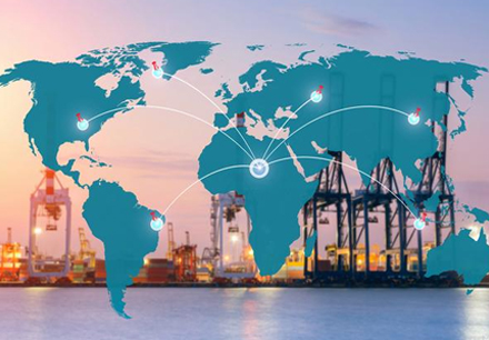 Durable Transparent Braided PVC Hose for Versatile Applications and Easy Handling