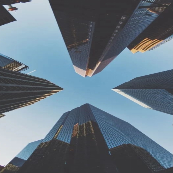 Comparing PVC Air Hoses and Rubber Hoses for Optimal Performance and Durability in Various Applications