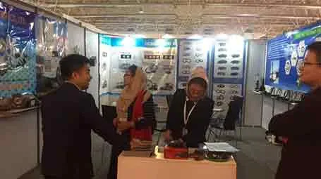 0dddf139df269d52bfedcc6f7dc14d8.webp2