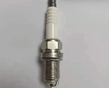 Oil Seals: Essential for Mechanical Integrity