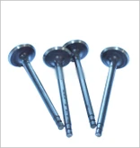 Exhaust Valve