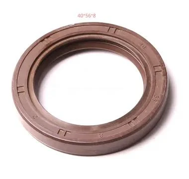 Oil Seal 1