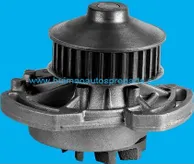 Engine Water Pump
