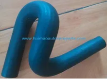 Radiator Hose 11537500733