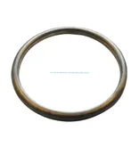 Exhaust Manifold Gasket