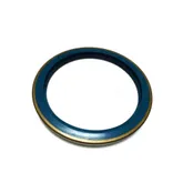 Oil Seal