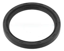 Oil Seal