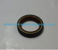 Oil Seal