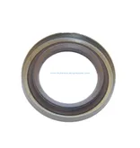 Oil Seal