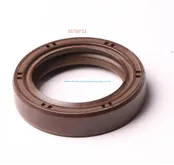 Oil Seal