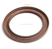 Oil Seal