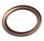 Oil Seal