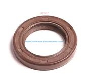 Oil Seal