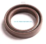 Oil Seal