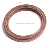 Oil Seal 6