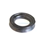 Oil Seal 6