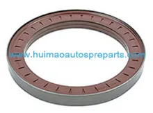 Oil Seal 5