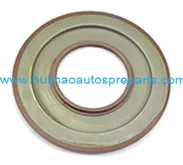 Oil Seal 4