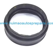 Oil Seal 4