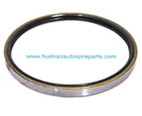 Oil Seal 2