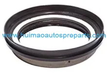 Oil Seal 2