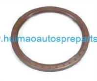 Oil Seal 1